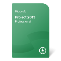 Project 2013 Professional