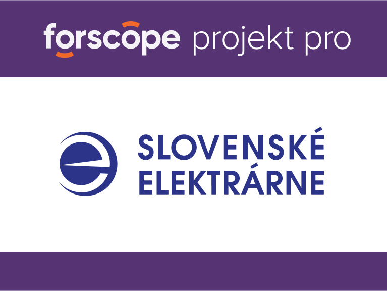 Slovenská elektrárenská společnost: Více než 70 % nákladů na software ušetřeno díky našemu řešení!