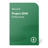 Project 2016 Professional