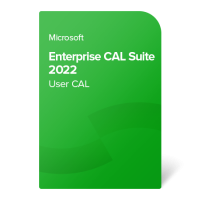 Enterprise CAL Suite 2022 User CAL