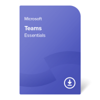 Microsoft Teams Essentials – 1 year