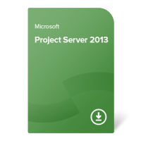 Project Server 2013