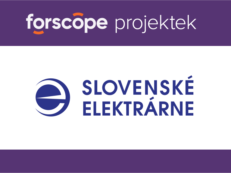 Szlovák villamosenergia -társaság: a szoftverköltségek több mint 70% -át megtakarította!