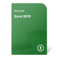 Excel 2013