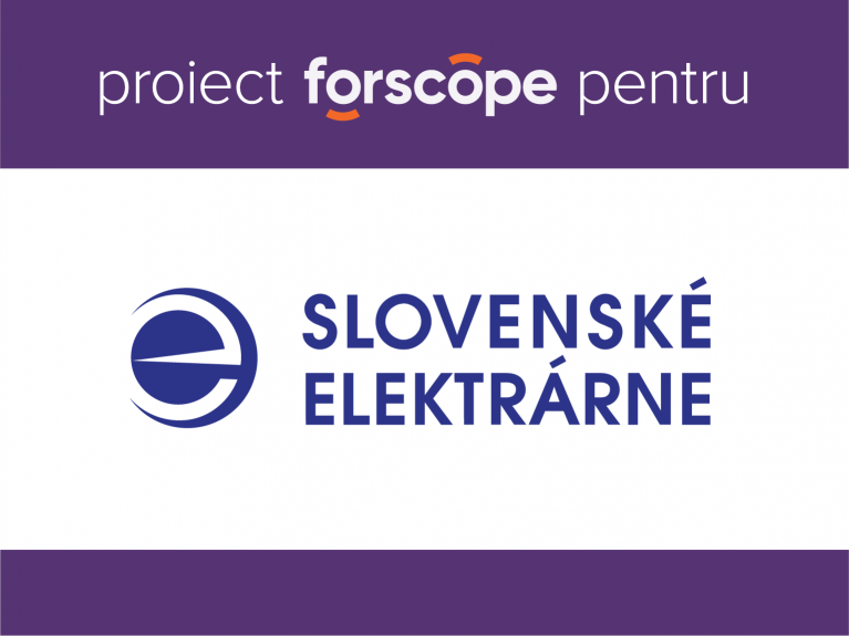 Companie slovacă de electricitate: Mai mult de 70% din costurile software au fost economisite datorită soluției noastre!