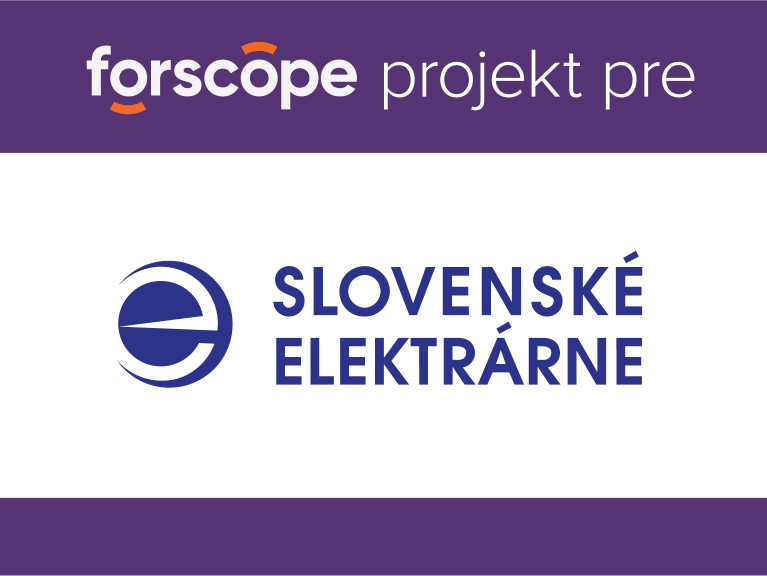 Slovenská energetická spoločnosť: Viac ako 70 % nákladov na softvér ušetrených vďaka nášmu riešeniu!
