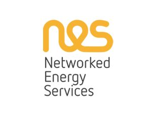 Networked Energy Services.jpg